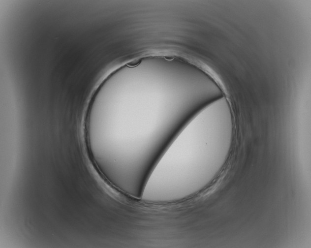 X0000116140803200911230930