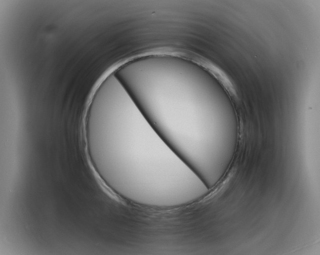 X0000116140808200911230930
