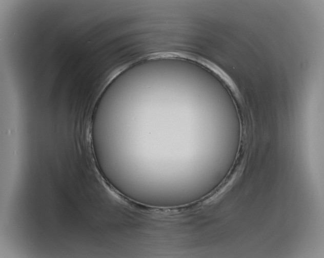 X0000116140809200911230930