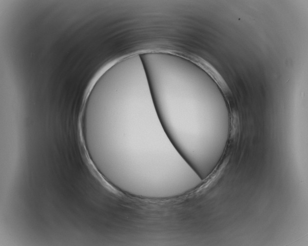 X0000116140812200911230930