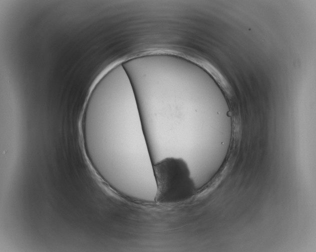 X0000116140814200911230930
