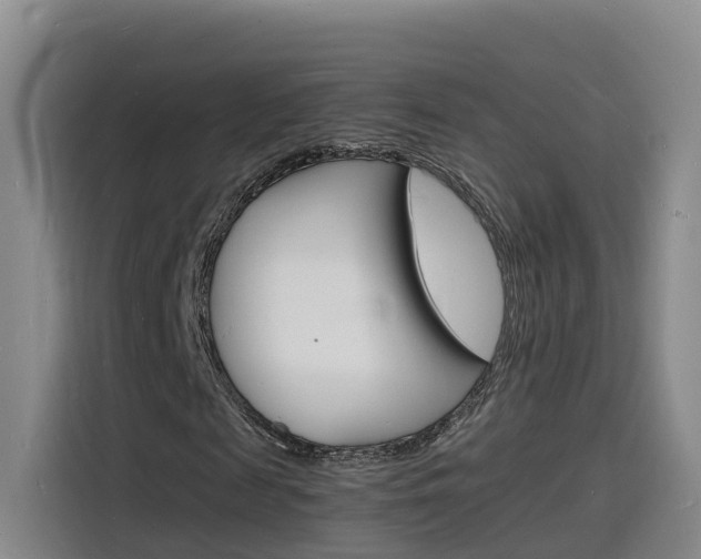 X0000116140817200911230930