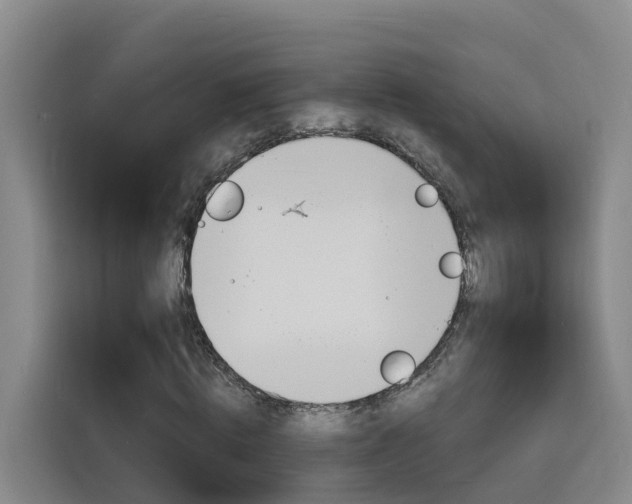 X0000116140820200911230930