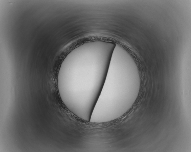 X0000116140822200911230930