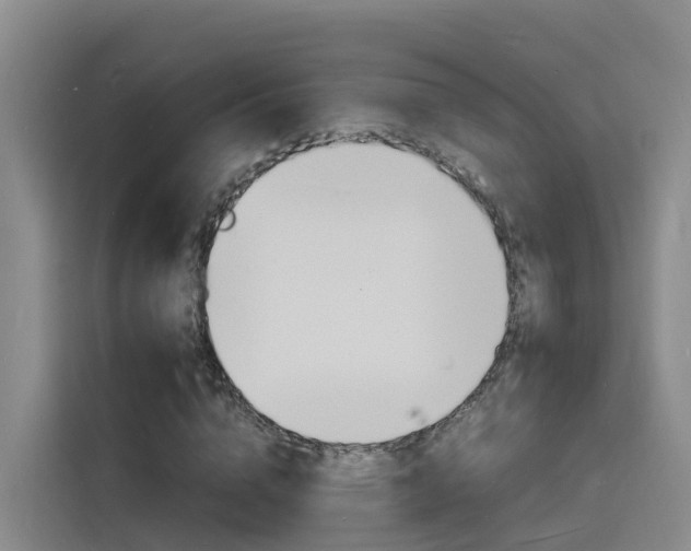 X0000116140824200911230930