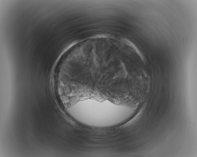X0000116140827200911230930