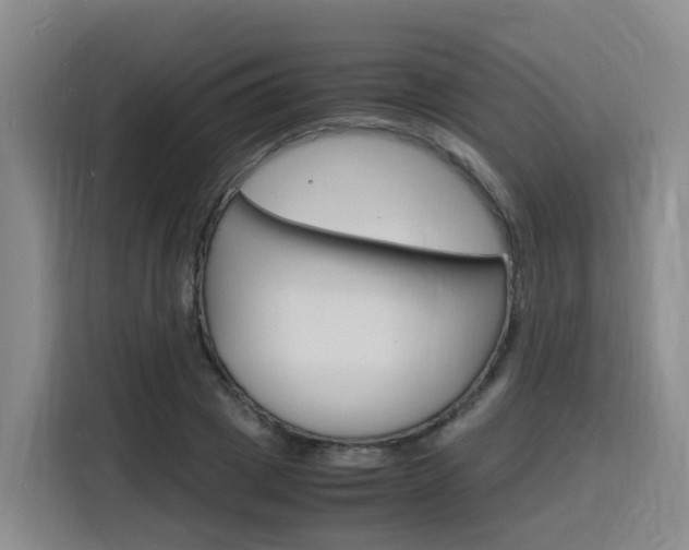 X0000116140833200911230930