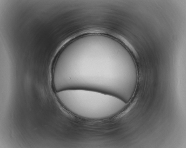 X0000116140837200911230930