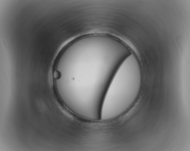 X0000116140838200911230930