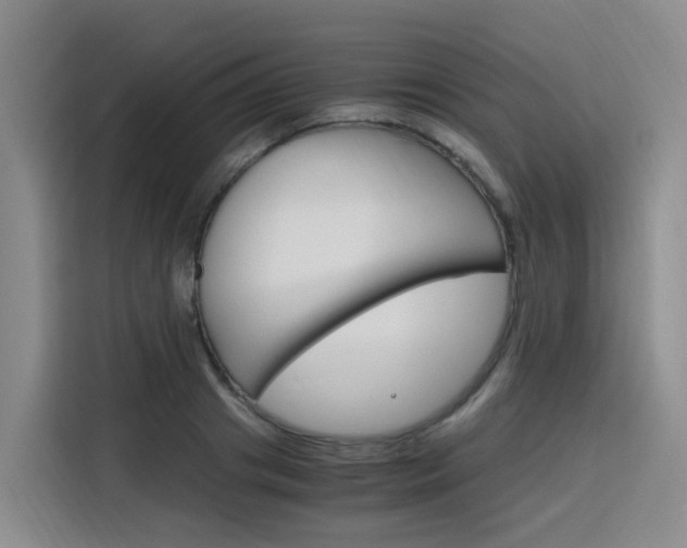 X0000116140841200911230930