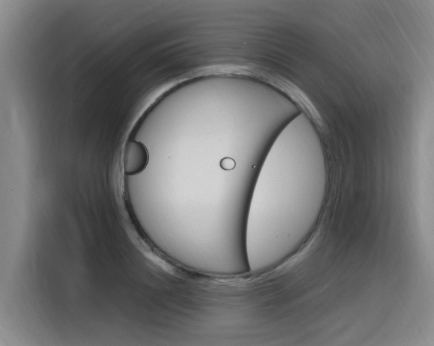 X0000116140844200911230930