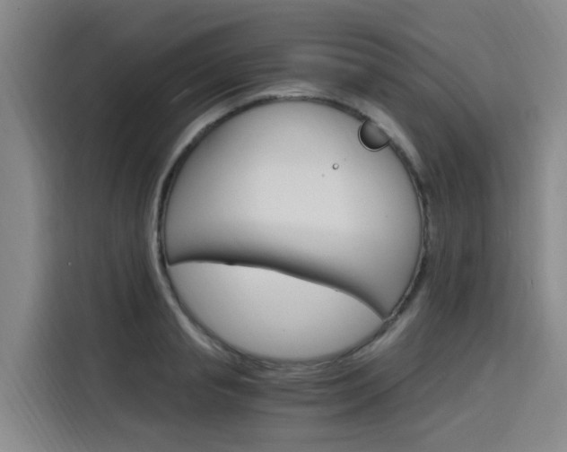 X0000116140845200911230930