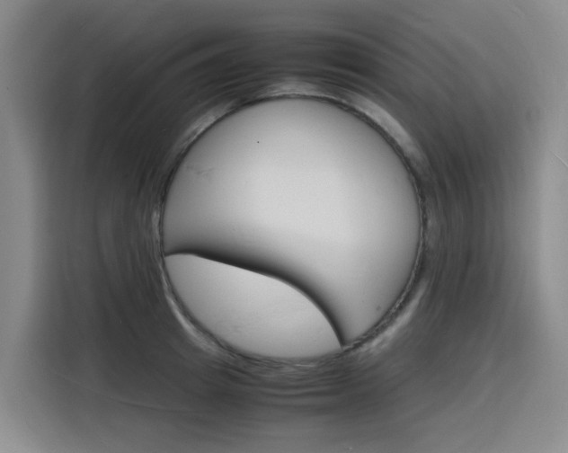 X0000116140849200911230930
