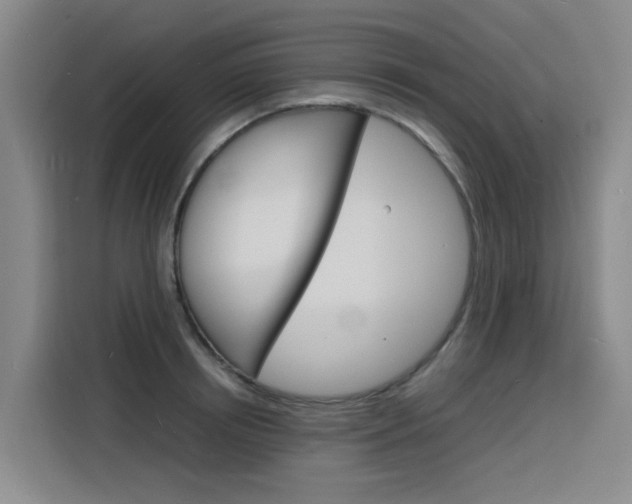 X0000116140850200911230930