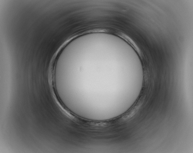 X0000116140851200911230930