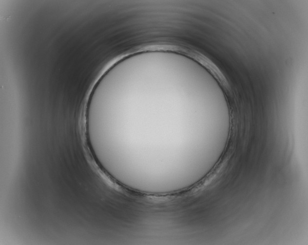 X0000116140852200911230930