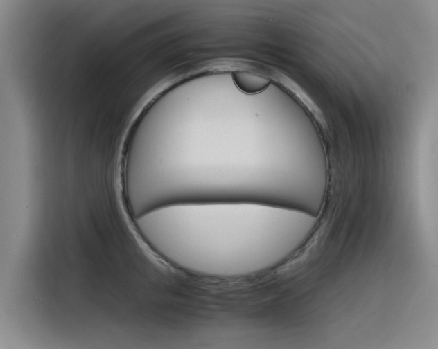 X0000116140853200911230930