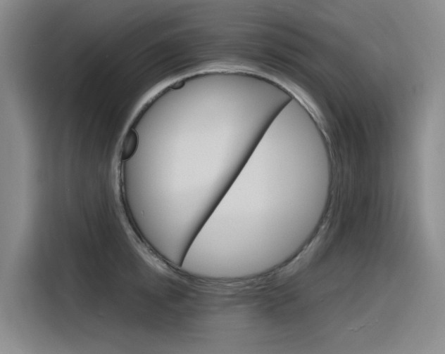 X0000116140854200911230930