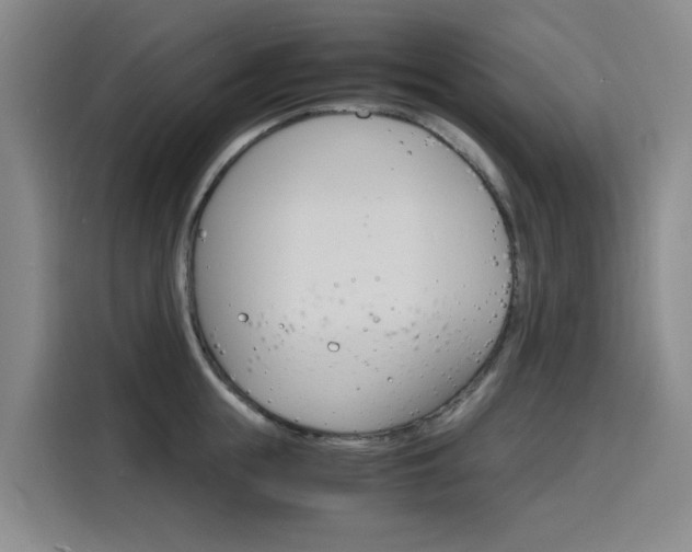 X0000116140855200911230930