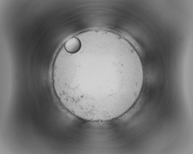 X0000116140856200911230930