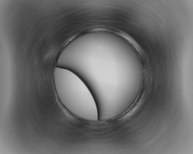 X0000116140857200911230930