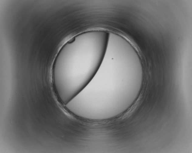 X0000116140858200911230930