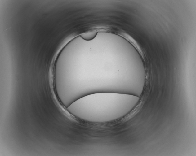 X0000116140859200911230930