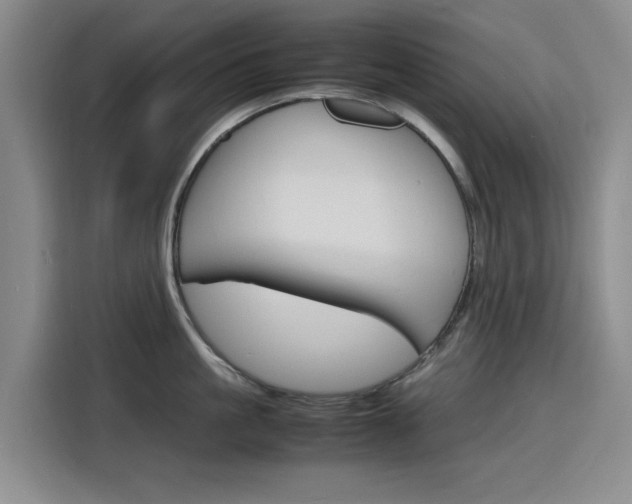 X0000116140861200911230930