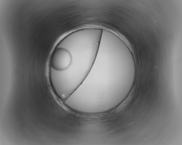 X0000116140862200911230930