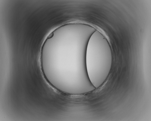 X0000116140863200911230930