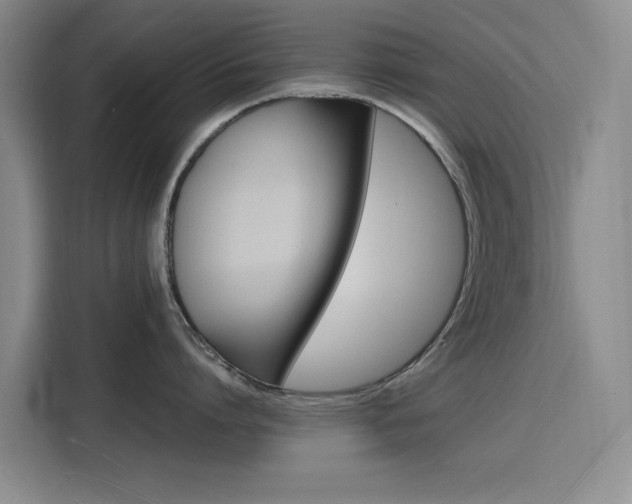 X0000116140864200911230930