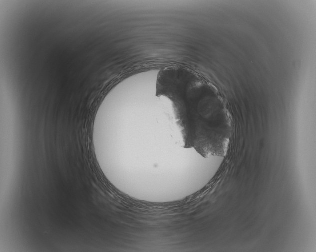 X0000116140867200911230930