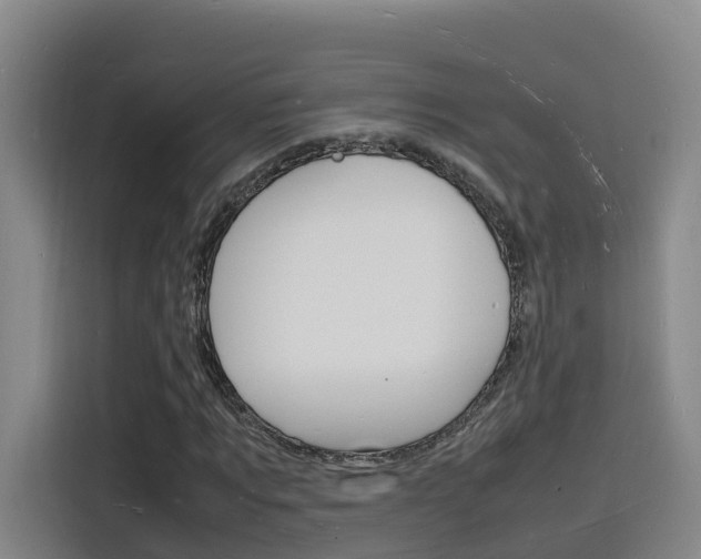 X0000116140869200911230929