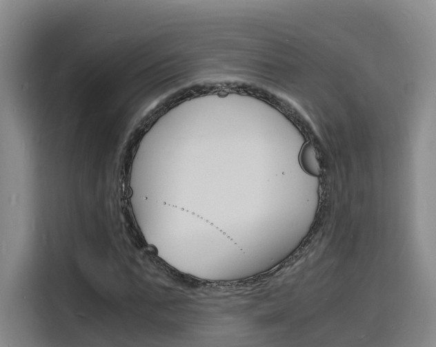 X0000116140871200911230929
