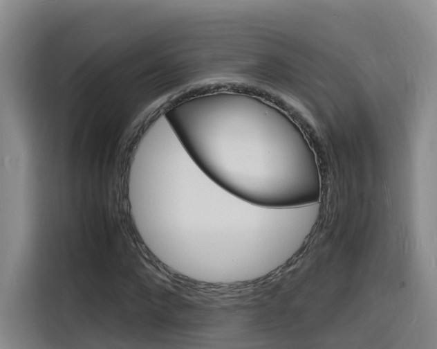 X0000116140872200911230929