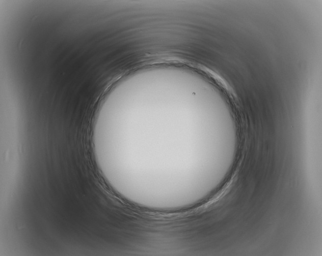 X0000116140873200911230929