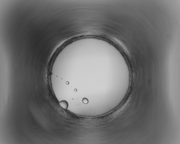 X0000116140875200911230929