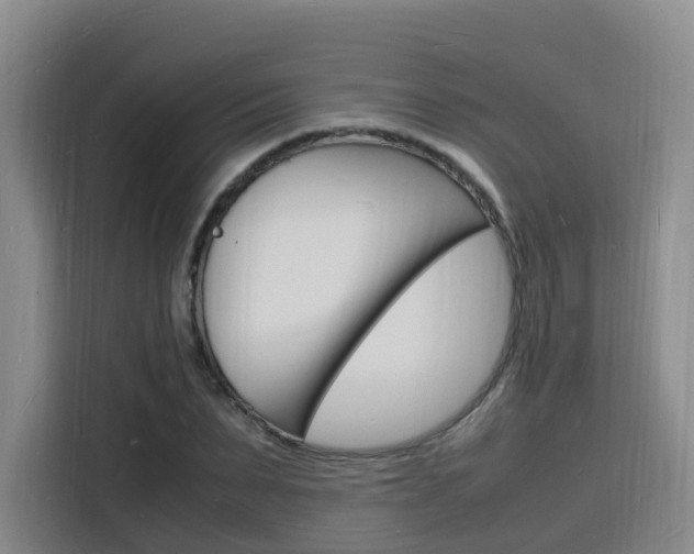 X0000116140879200911230929