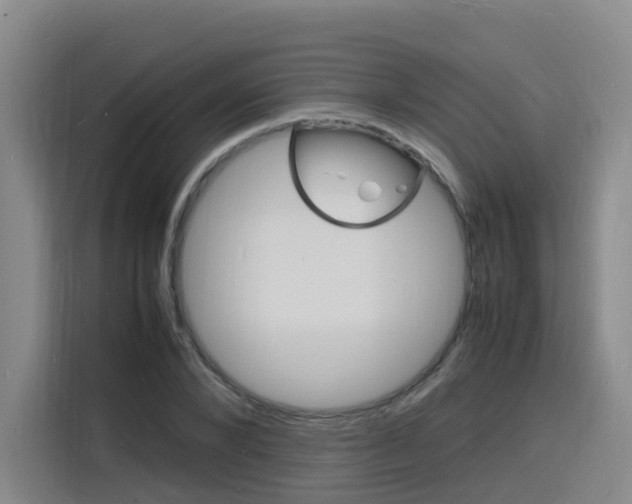 X0000116140880200911230929