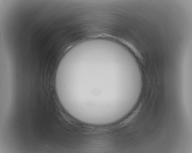X0000116140881200911230929