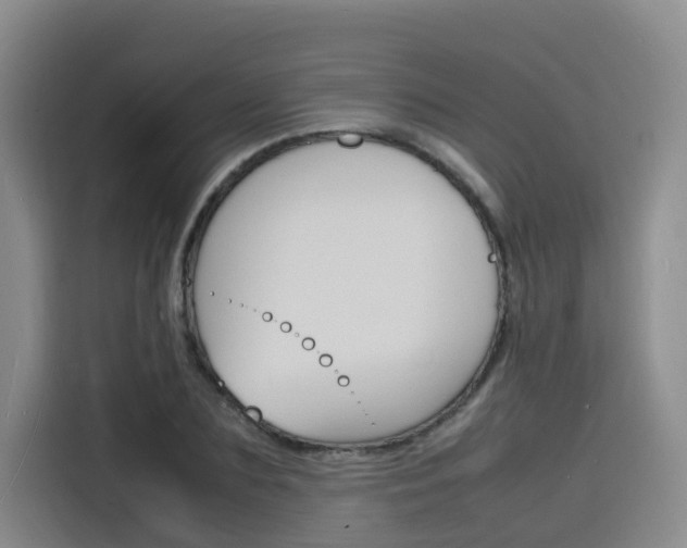 X0000116140883200911230929