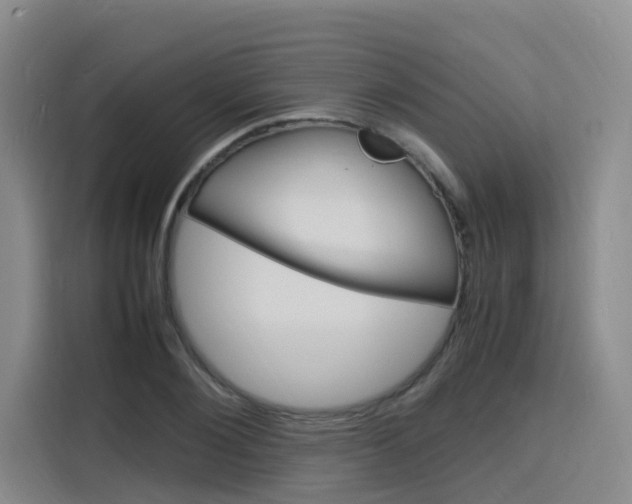 X0000116140884200911230929