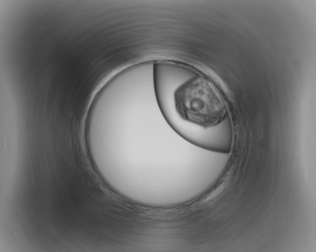 X0000116140885200911230929