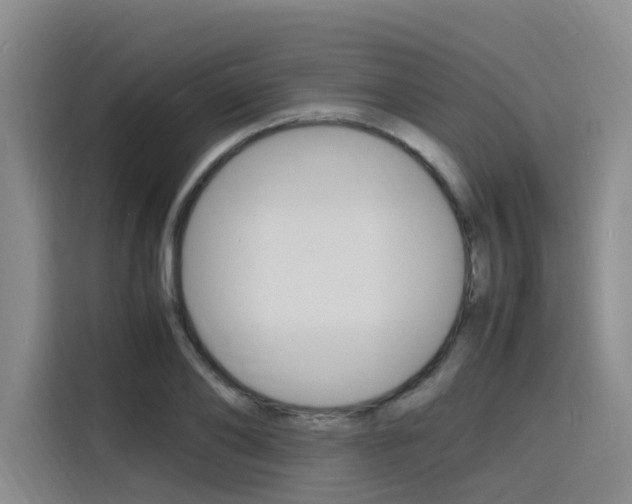 X0000116140886200911230929