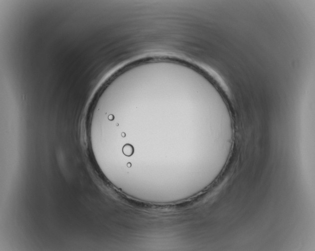X0000116140887200911230929