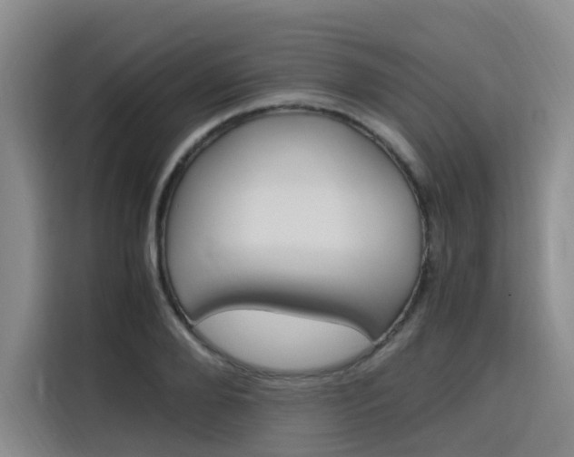 X0000116140888200911230929