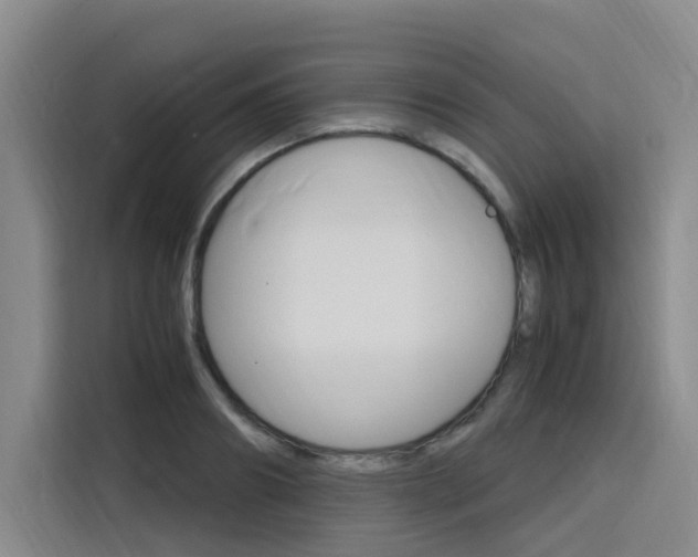 X0000116140890200911230929