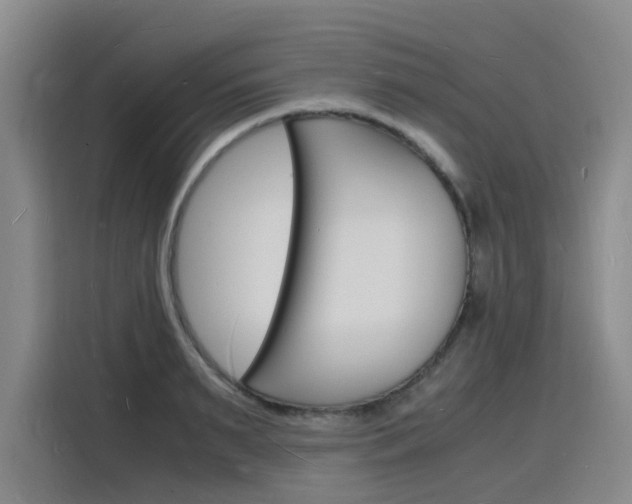 X0000116140895200911230929