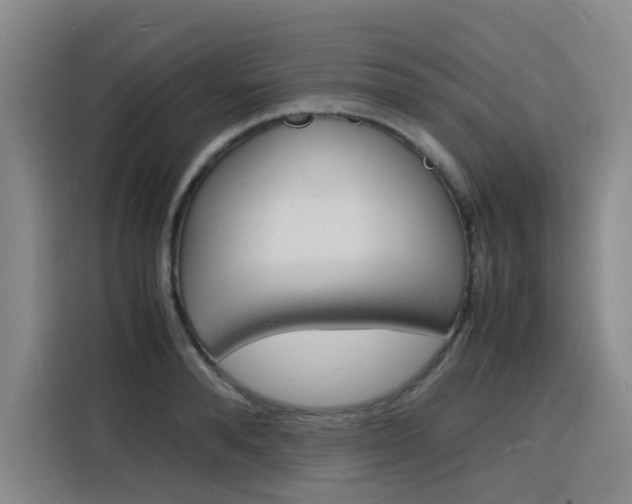 X0000116140896200911230929