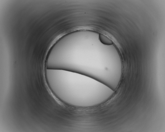X0000116140898200911230929